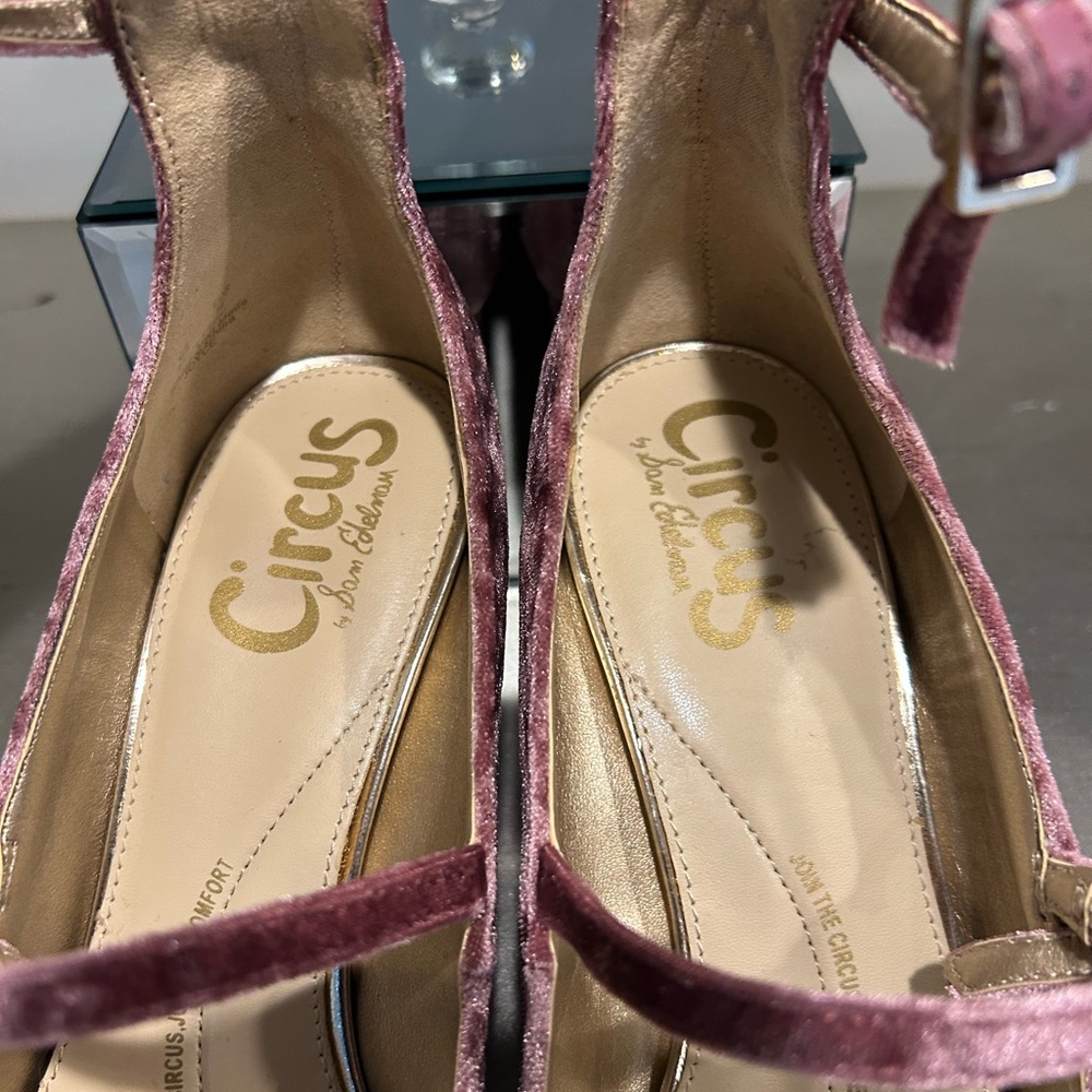 Circus by Sam Edelman Dusty Rose Velvet Mary Jane Block Heels - Picture 4 of 7